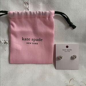 Kate Spade Silver Earrings with Pink Pouch NWT